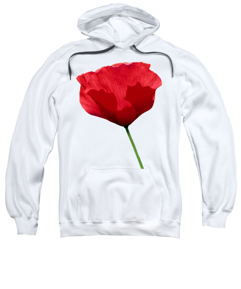 Poppy; Corn Poppy; Papaver Rhoeas; Red; Flower; Wild; Plant; Spring; Flowers; Photograph; Photography; Springtime; Season; Nature; Natural; Natural Environment; Flora; Bloom; Blooming; Blossom; Blossoming; Color; Colorful; Country; Countryside; Macro; Close-up; Detail; Details; Poppies; T-shirts; Slim Fit T-shirts; V-neck T-shirts; Long Sleeve T-shirts; Sweatshirts; Hoodies; Youth T-shirts; Toddler T-shirts; Baby Onesies; Women's T-shirts; Women's V-neck T-shirts; Junior T-shirts Sweatshirt featuring the photograph Poppy flower #21 by George Atsametakis