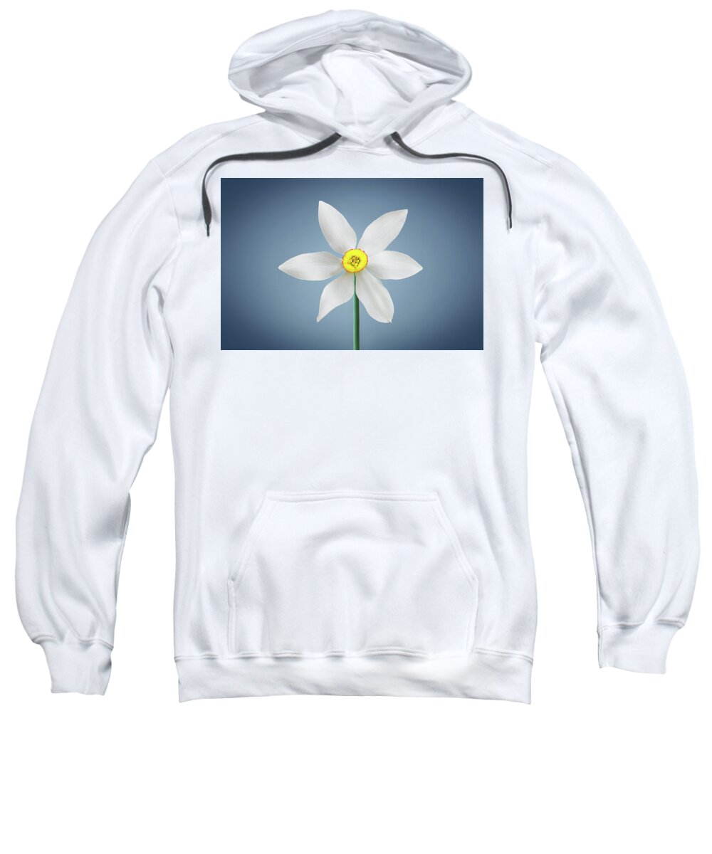 Clock Sweatshirt featuring the photograph Flower Paradise #3 by Bess Hamiti