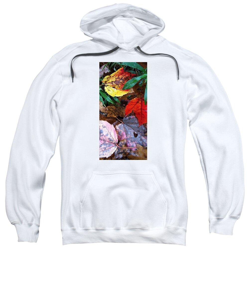 Leaves Sweatshirt featuring the photograph Autumn Leaves #5 by Wolfgang Schweizer