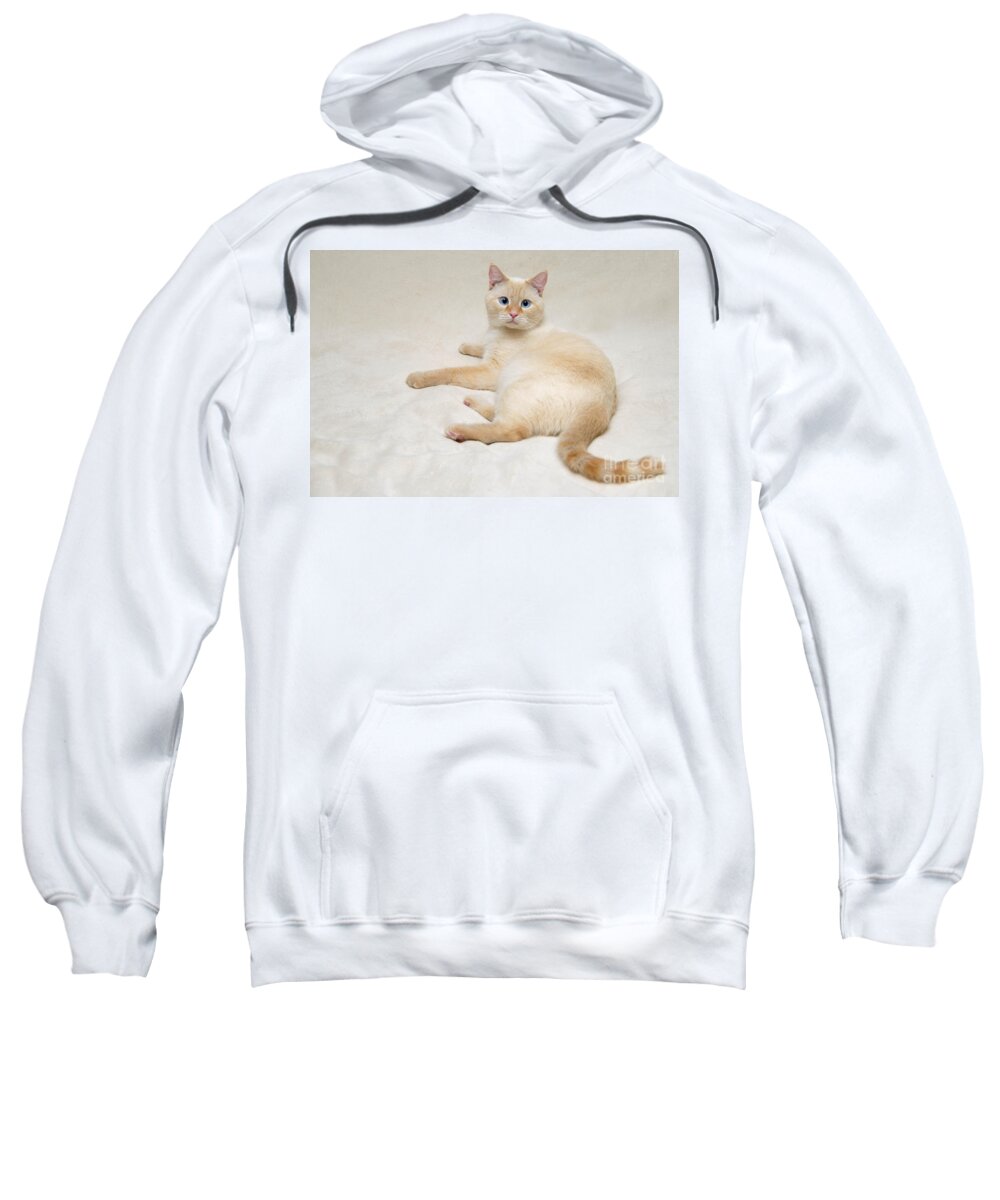 Blue Eyes Sweatshirt featuring the photograph Flame Point Siamese Cat #7 by Amy Cicconi