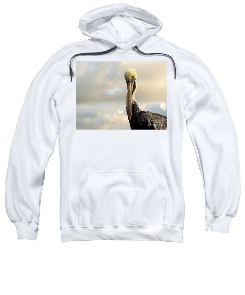 Pelican Sweatshirt featuring the photograph A Pelican's Portrait by Jan Gelders