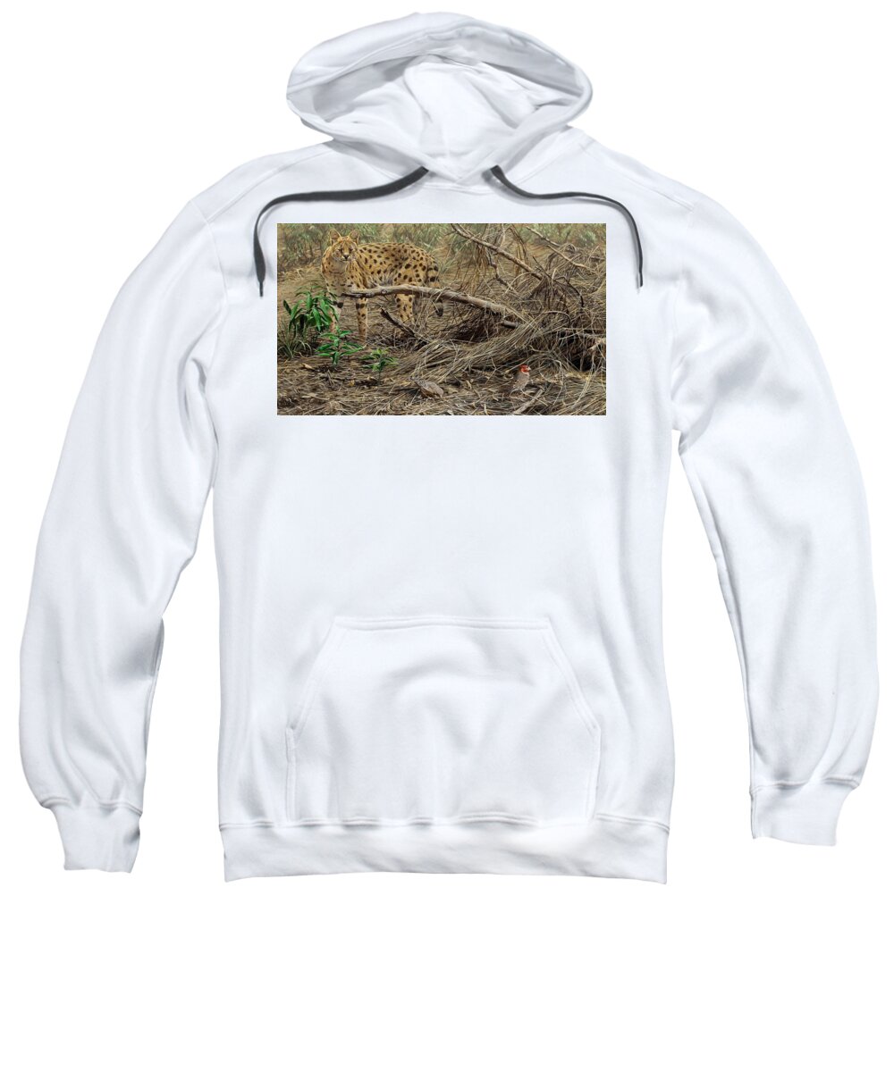 Serval Sweatshirt featuring the painting A Quiet Approach by Alan M Hunt