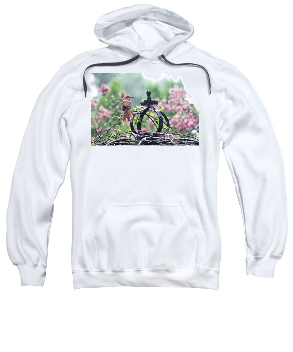 Birds Sweatshirt featuring the photograph A Rainy Summer Day by Trina Ansel