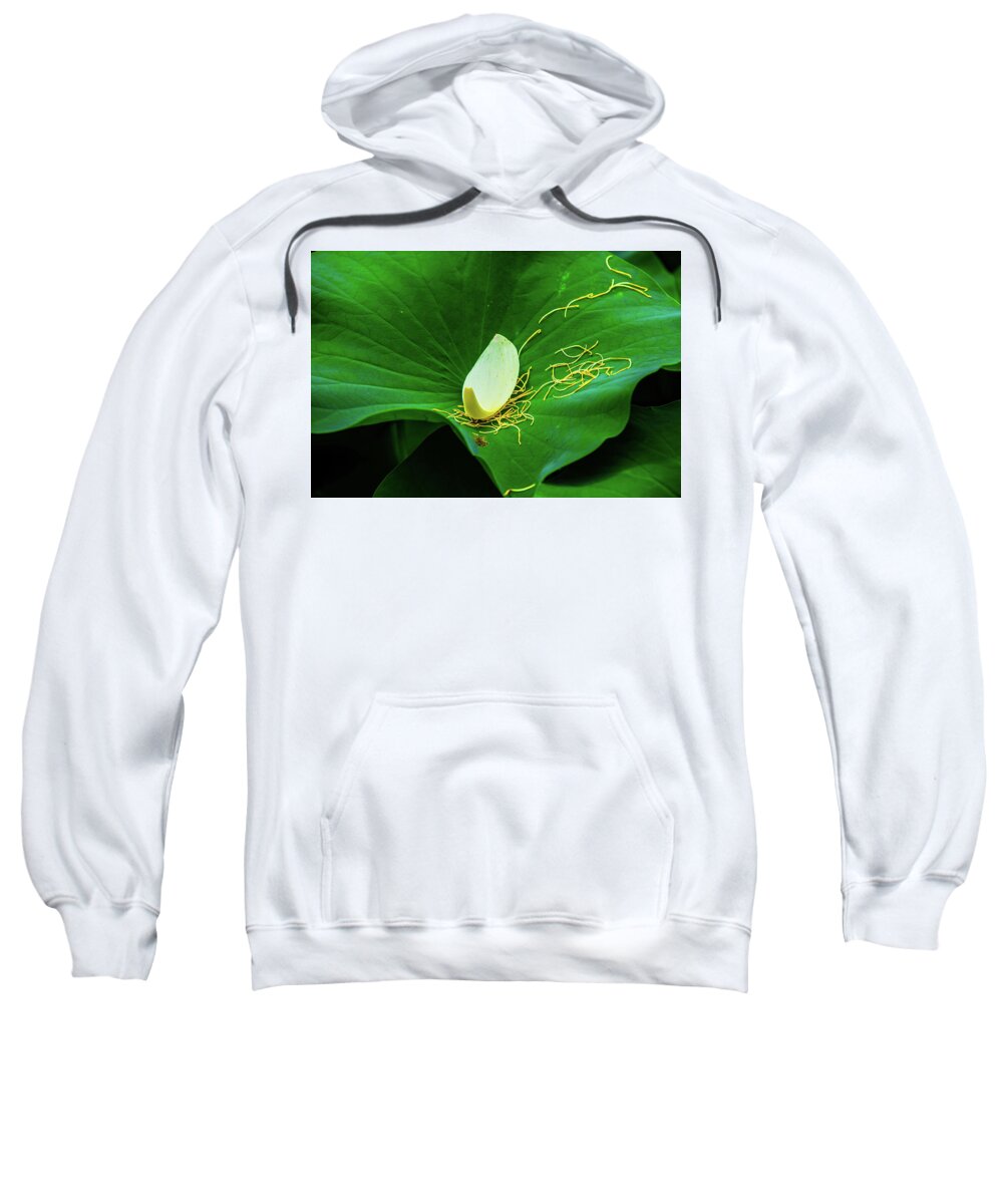 Bloom Sweatshirt featuring the photograph Abstract Leaves of Green and Yellow by Dennis Dame