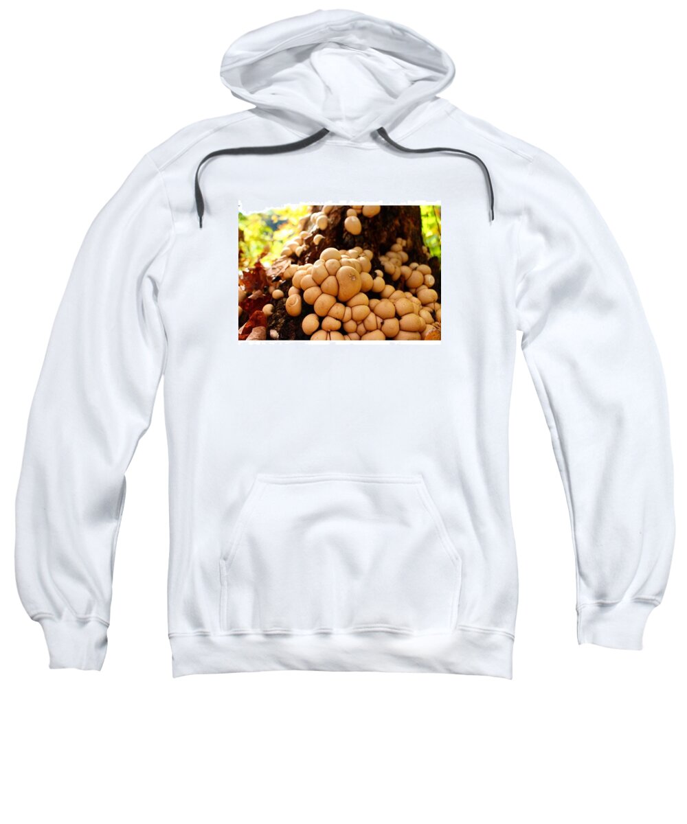 Tree Sweatshirt featuring the photograph Fungus Among Us by Haley Church