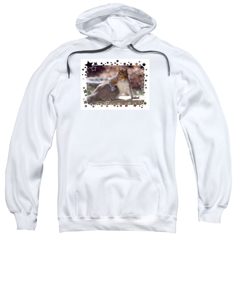 Squirrel Sweatshirt featuring the photograph The Show Off by Sue Melvin