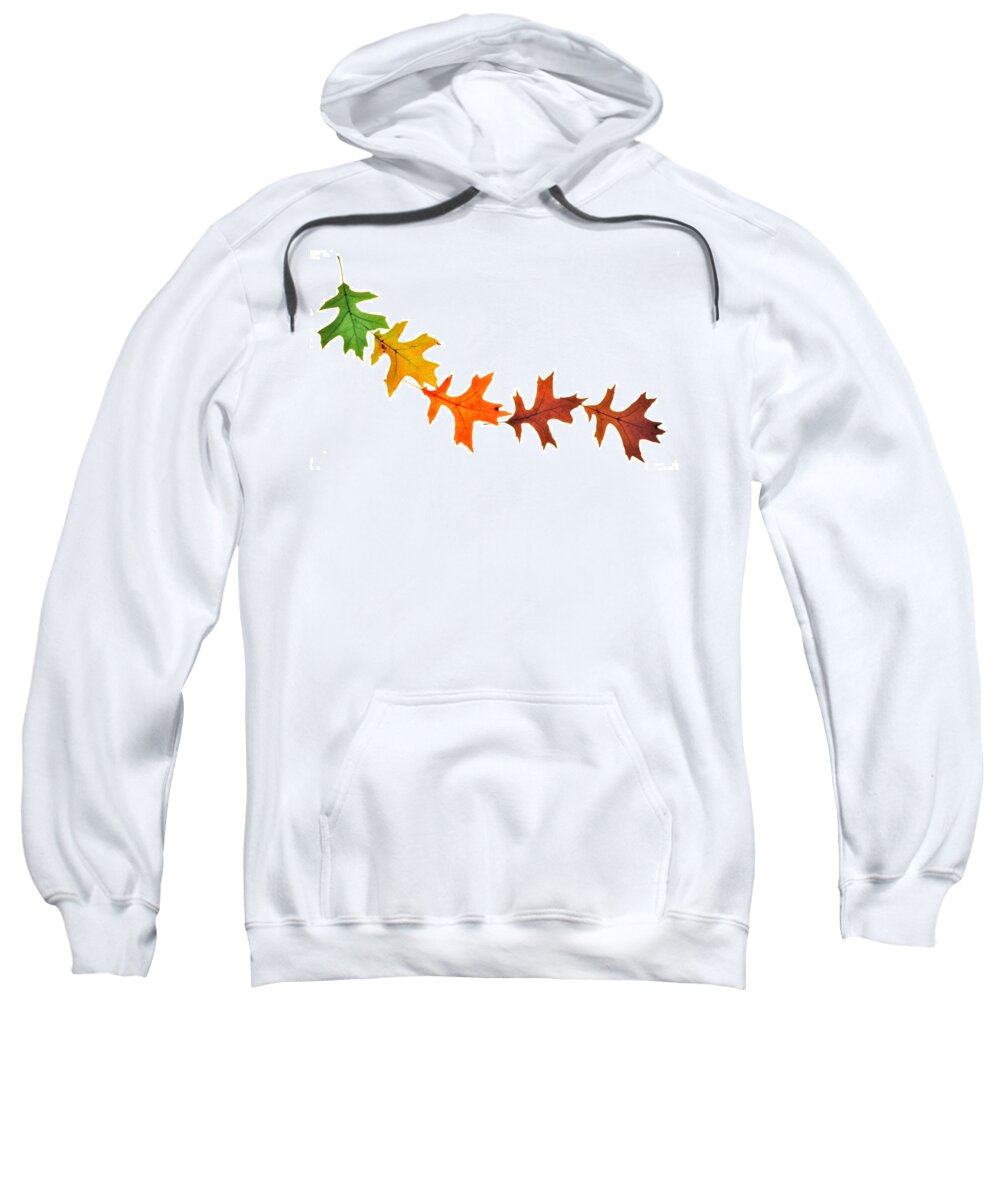 Leaves Sweatshirt featuring the photograph Autumn Leaves 1 by Mark Fuller