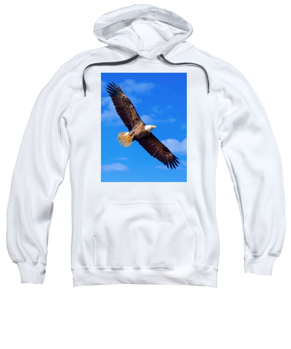 Bald Eagle Sweatshirt featuring the photograph Bald Eagle Flying by Joe Granita