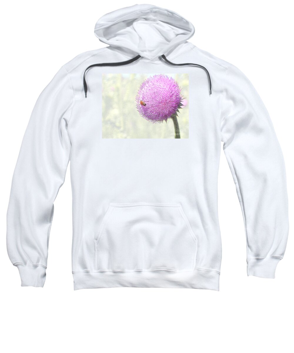 Bee Giant Thistle Plant Honeybee Craig Walters A An The Photo Art Artist Photograph Digital Landscape Pink Outdoors Photographic Artists Sweatshirt featuring the digital art Bee on Giant Thistle by Craig Walters