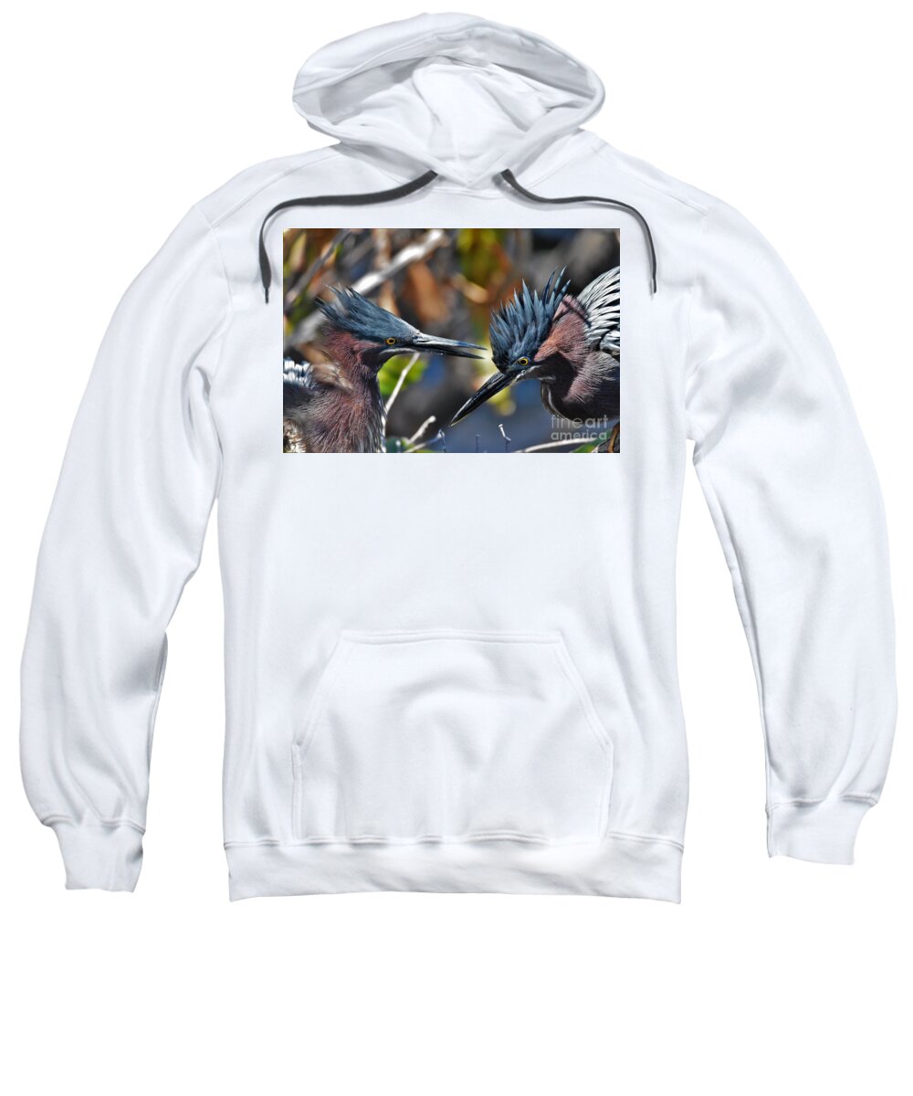 Little Green Herons Sweatshirt featuring the photograph Bird Love by Julie Adair