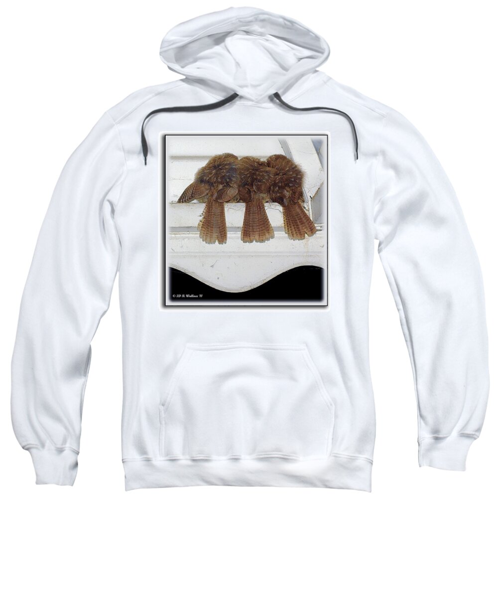 2d Sweatshirt featuring the photograph Birds Of A Feather by Brian Wallace