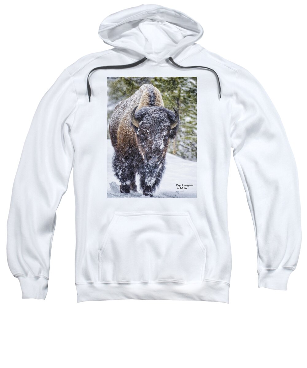 Bison Sweatshirt featuring the photograph Bison in a Snowstorm by Peg Runyan