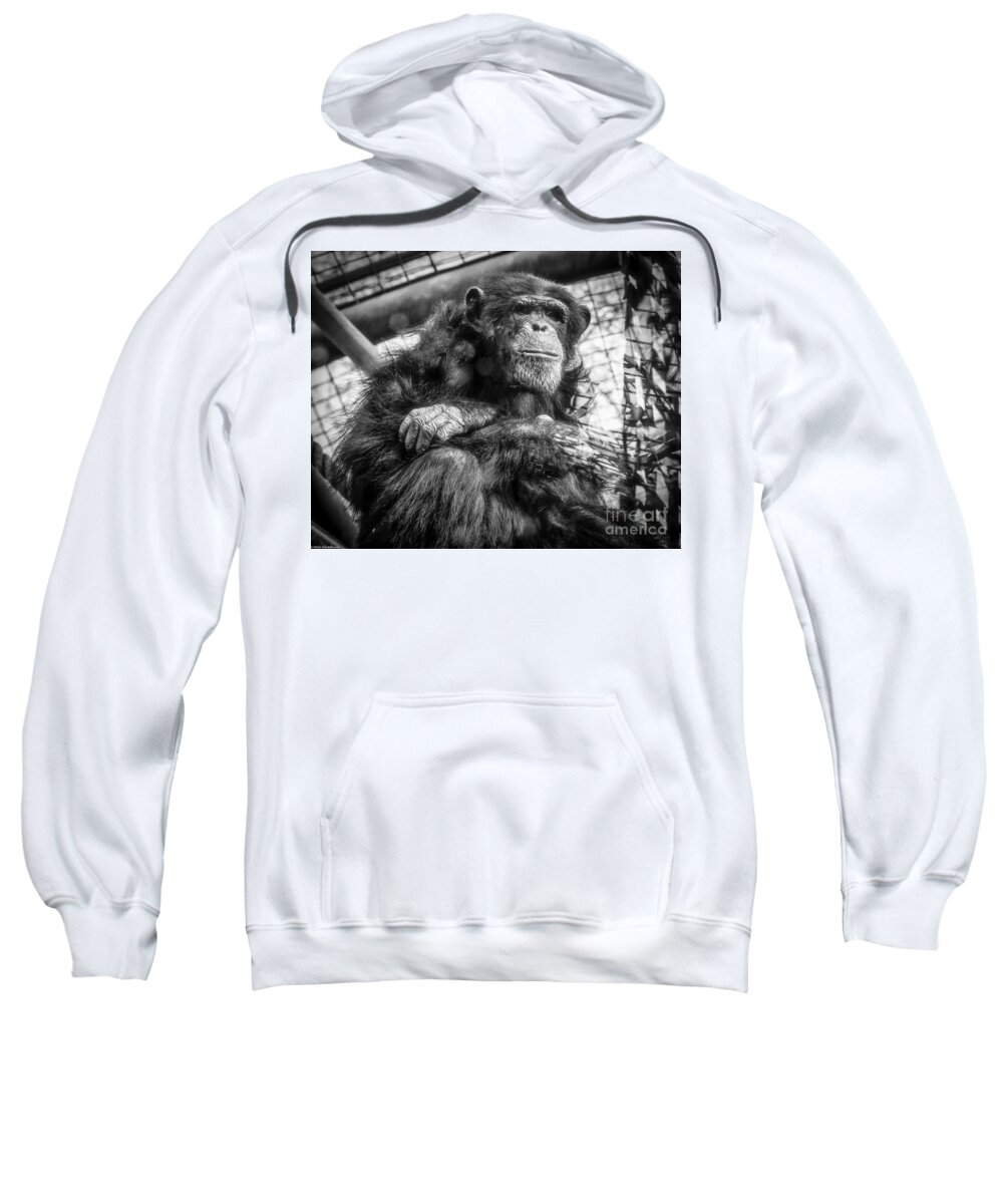 Black And White Chimp Sweatshirt featuring the photograph Black And White Chimp by Mitch Shindelbower