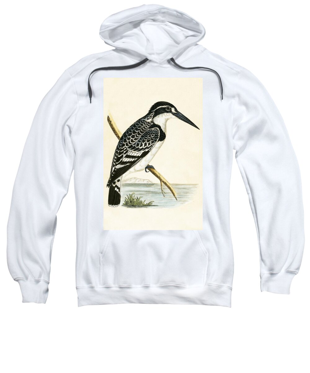 Kingfisher Sweatshirt featuring the painting Black and White Kingfisher by English School