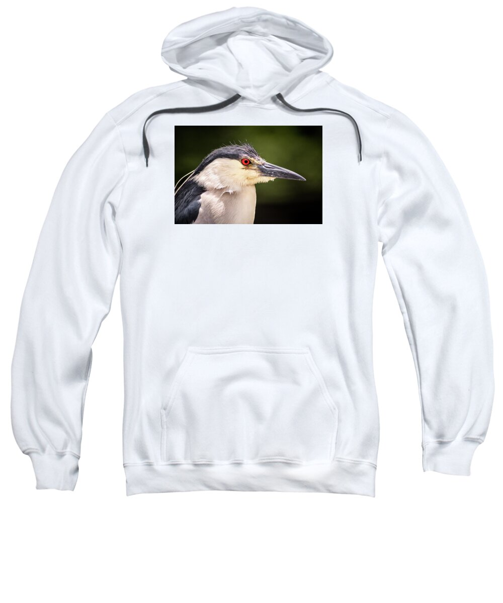Bird Sweatshirt featuring the photograph Black Crowned Night Heron by Don Johnson