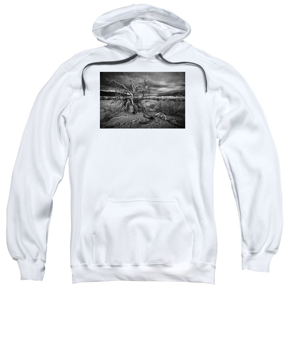 Crystal Yingling Sweatshirt featuring the photograph Bleached Bones by Ghostwinds Photography