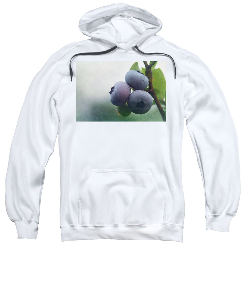 Cindi Ressler Blueberries Sweatshirt featuring the photograph Blueberries by Cindi Ressler