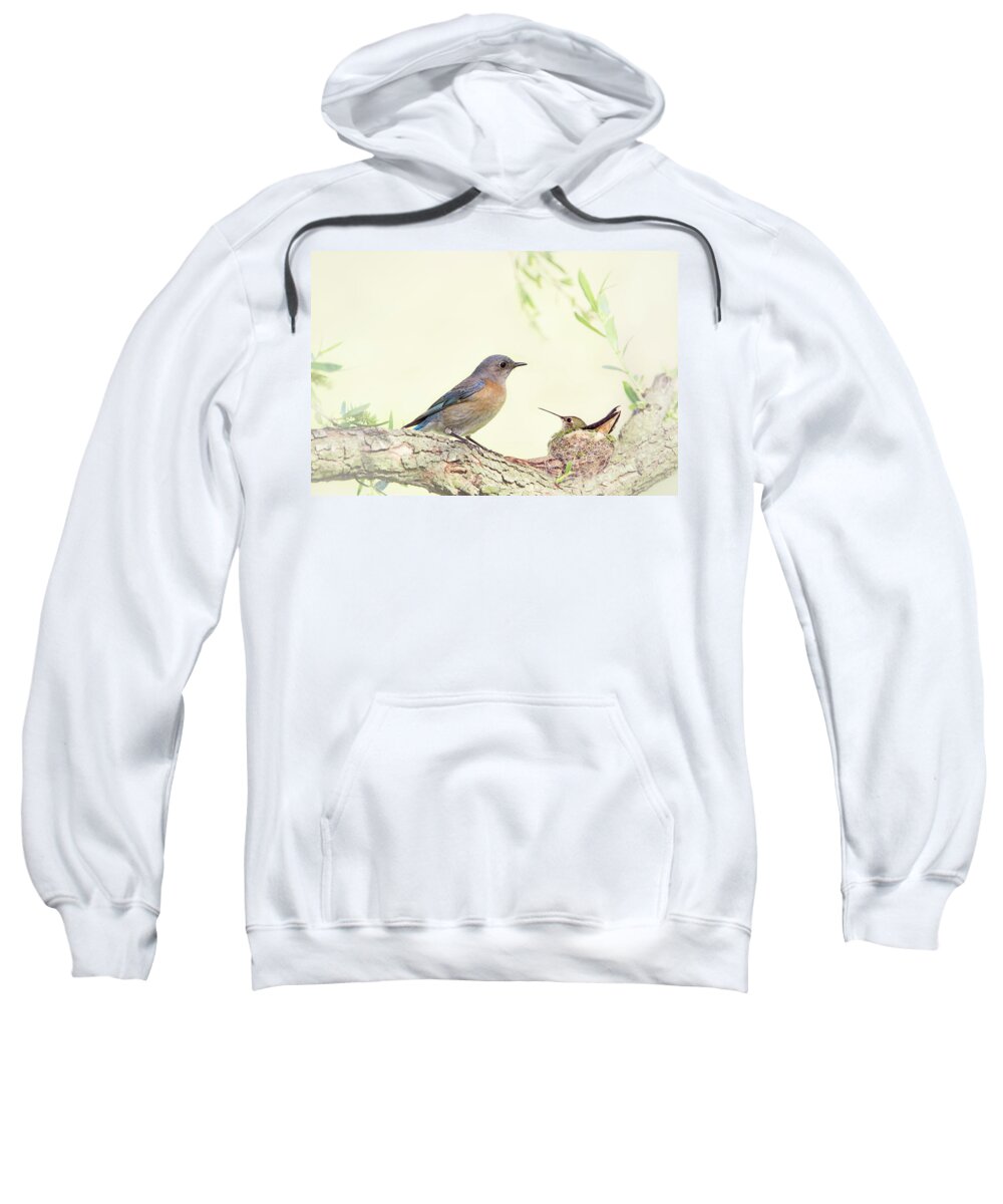 Bluebird Sweatshirt featuring the photograph Bluebird and Baby Hummer by Susan Gary