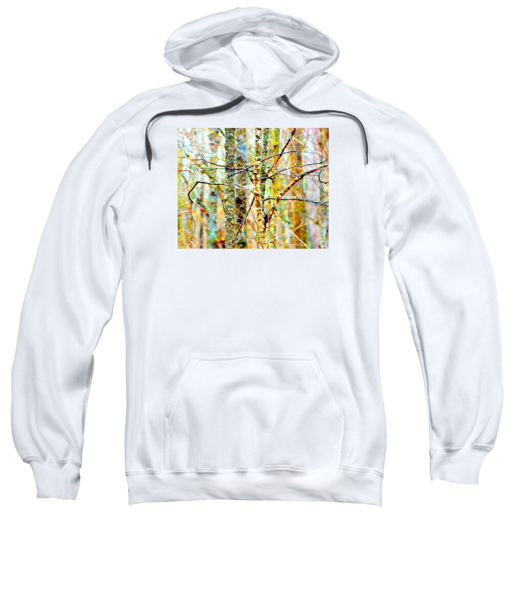 Abstract Sweatshirt featuring the photograph Branches by David Ralph Johnson