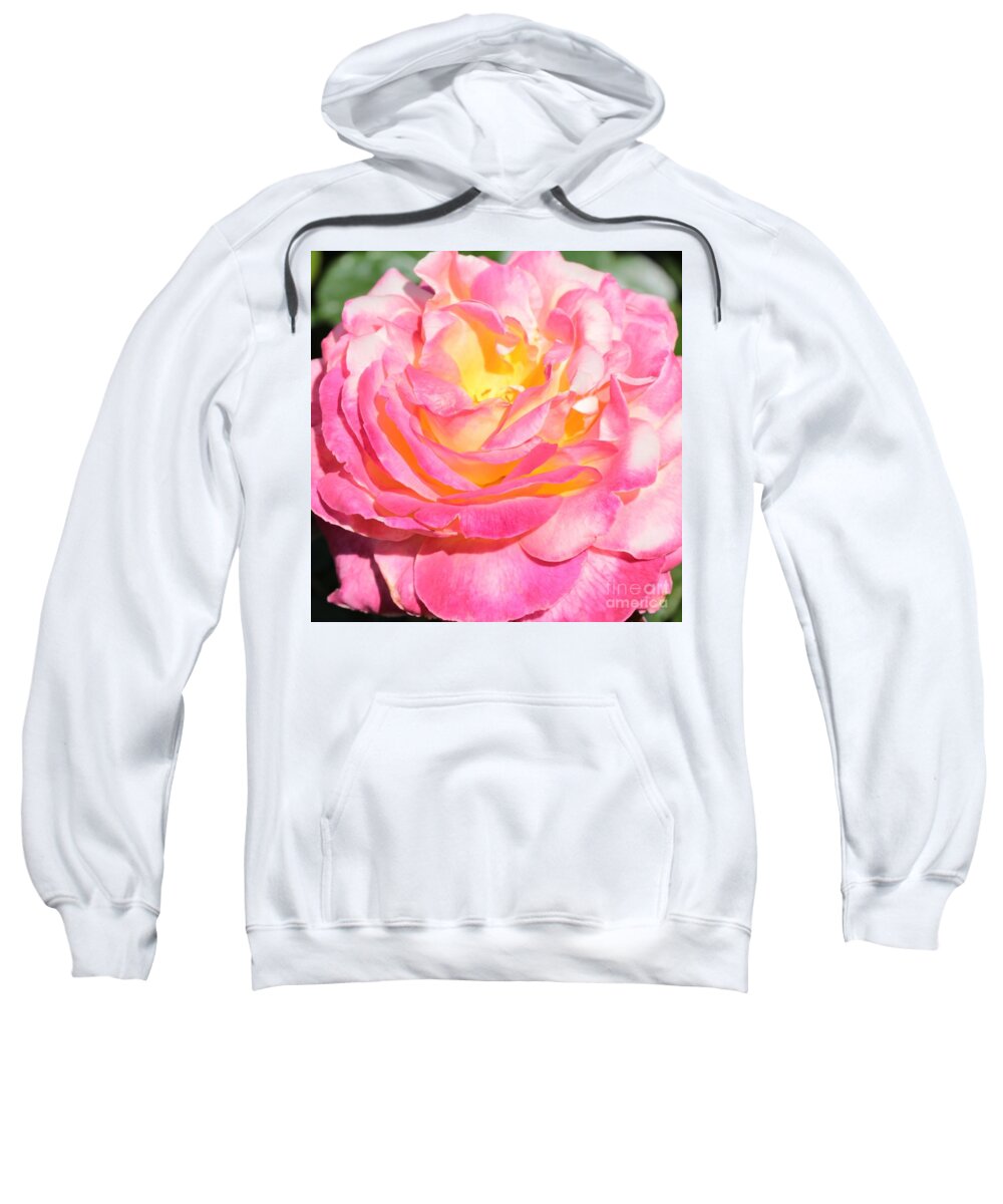 Pink Rose Sweatshirt featuring the photograph Bright Rose by Carol Groenen