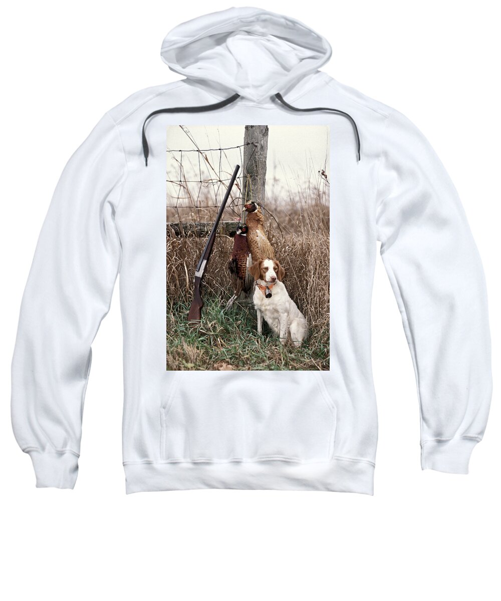 Alert Sweatshirt featuring the photograph Brittany and Pheasants - FS000757b by Daniel Dempster