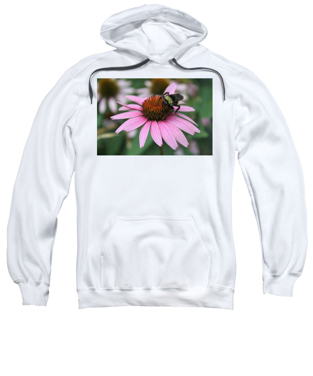 Nature Sweatshirt featuring the photograph Bumble Bee on Pink Coneflower by Sheila Brown