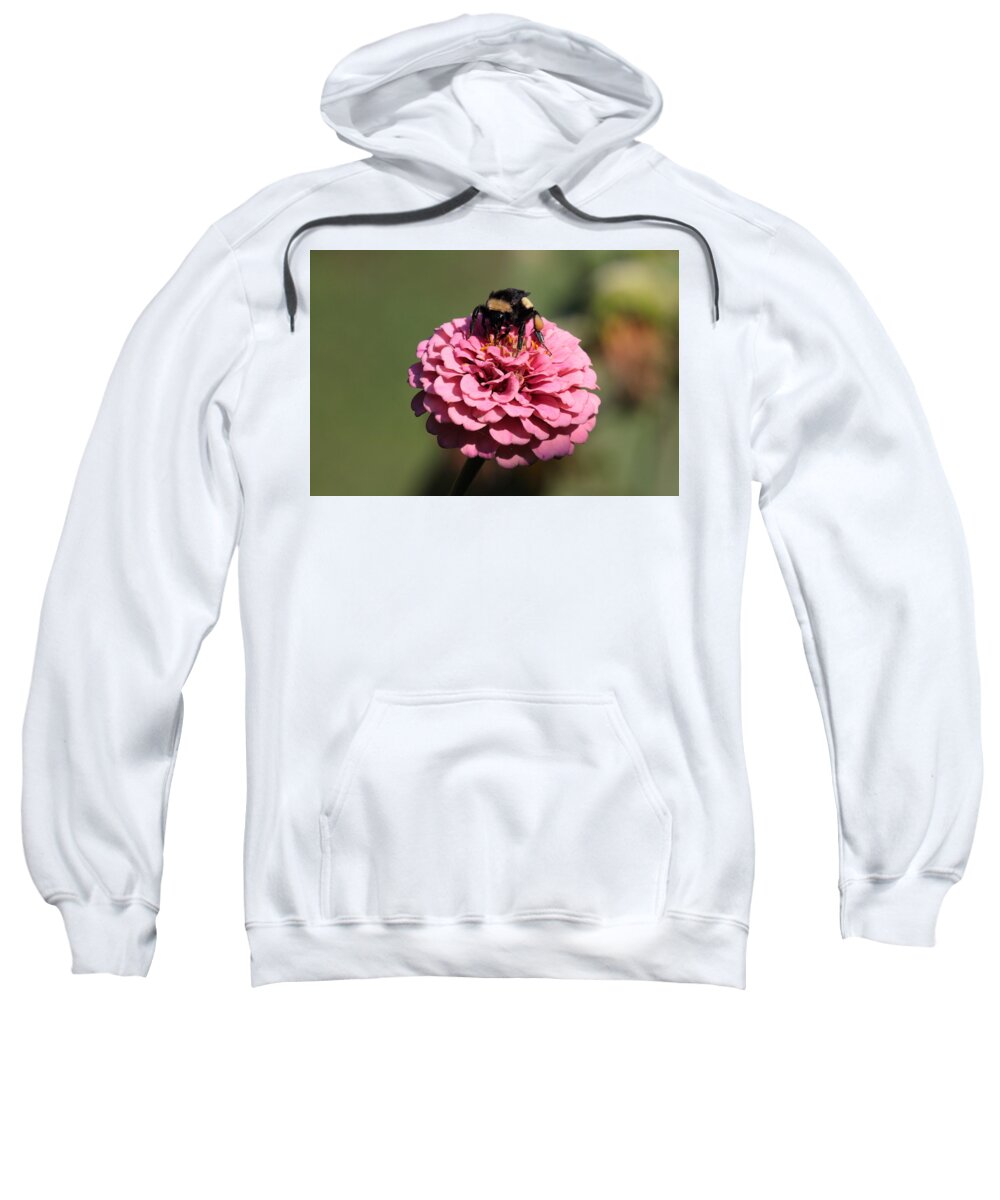 Bumble Bee Sweatshirt featuring the photograph Bumble Bee on Zinnia 2649 by John Moyer