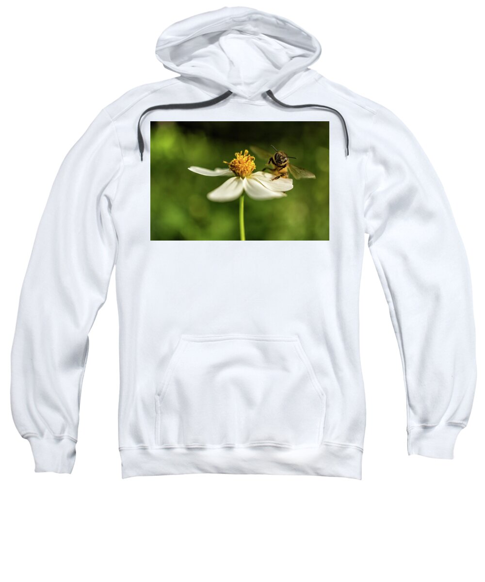 Flowers Sweatshirt featuring the photograph Buzz Off by Louise Lindsay