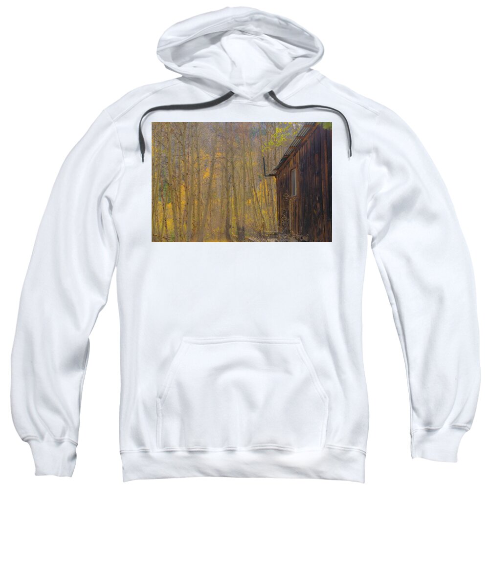 Fall Sweatshirt featuring the photograph Cabin in the woods by Patricia Dennis