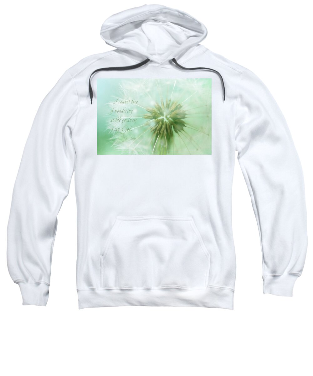 Photography Sweatshirt featuring the digital art Can't Tire of Wondering by Terry Davis