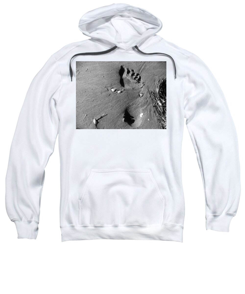 Sweatshirt featuring the photograph Carpe Diem by Margherita Rancura