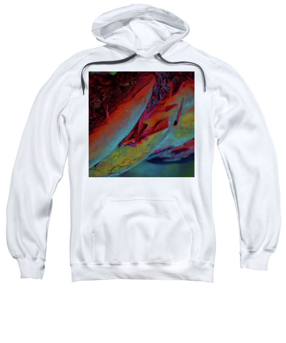 Nature Sweatshirt featuring the digital art Cherish by Richard Laeton