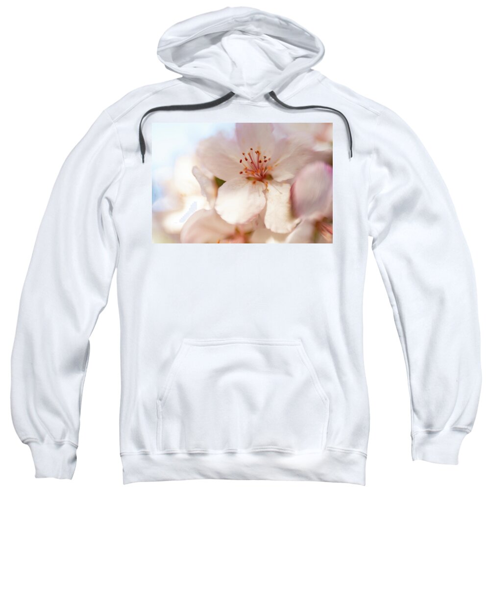 Flower Sweatshirt featuring the photograph Cherry Blossom by Pamela Taylor