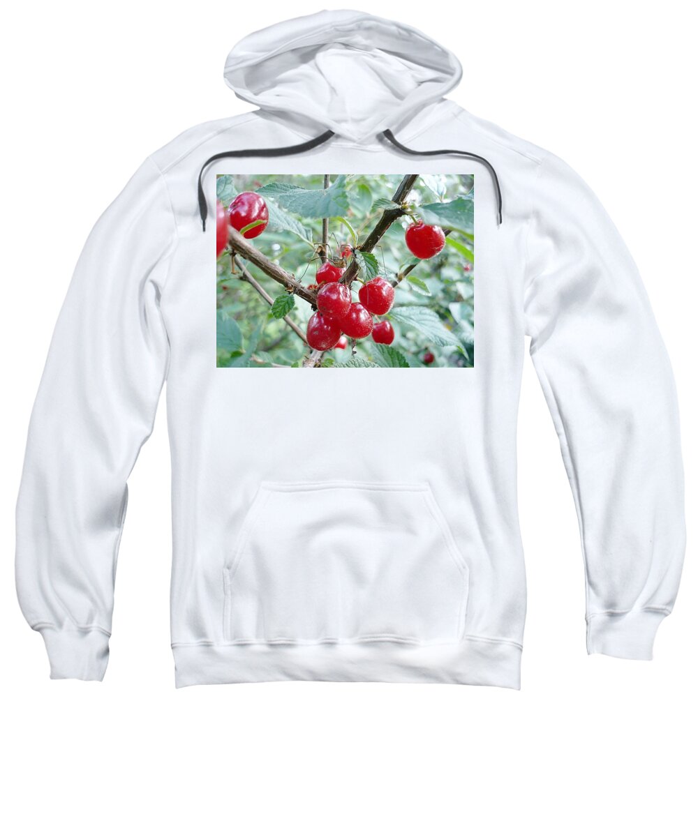 Cherry Sweatshirt featuring the photograph Cherry by 'REA' Gallery