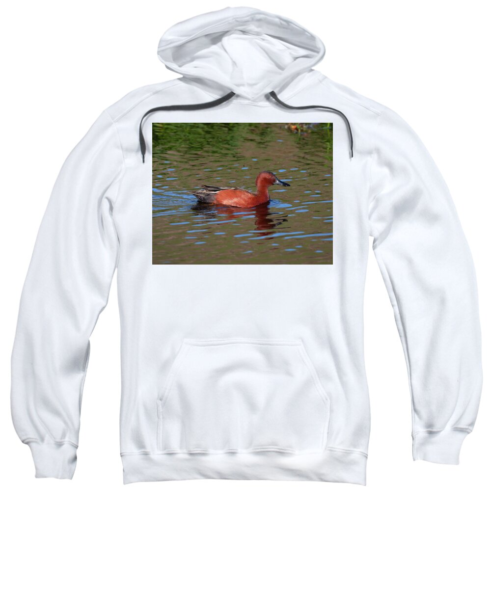 Mark Miller Photos Sweatshirt featuring the photograph Cinnamon Teal in Pretty Water by Mark Miller