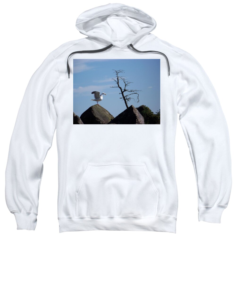 Seagulls Sweatshirt featuring the photograph Come Fly With Me by Julie Rauscher