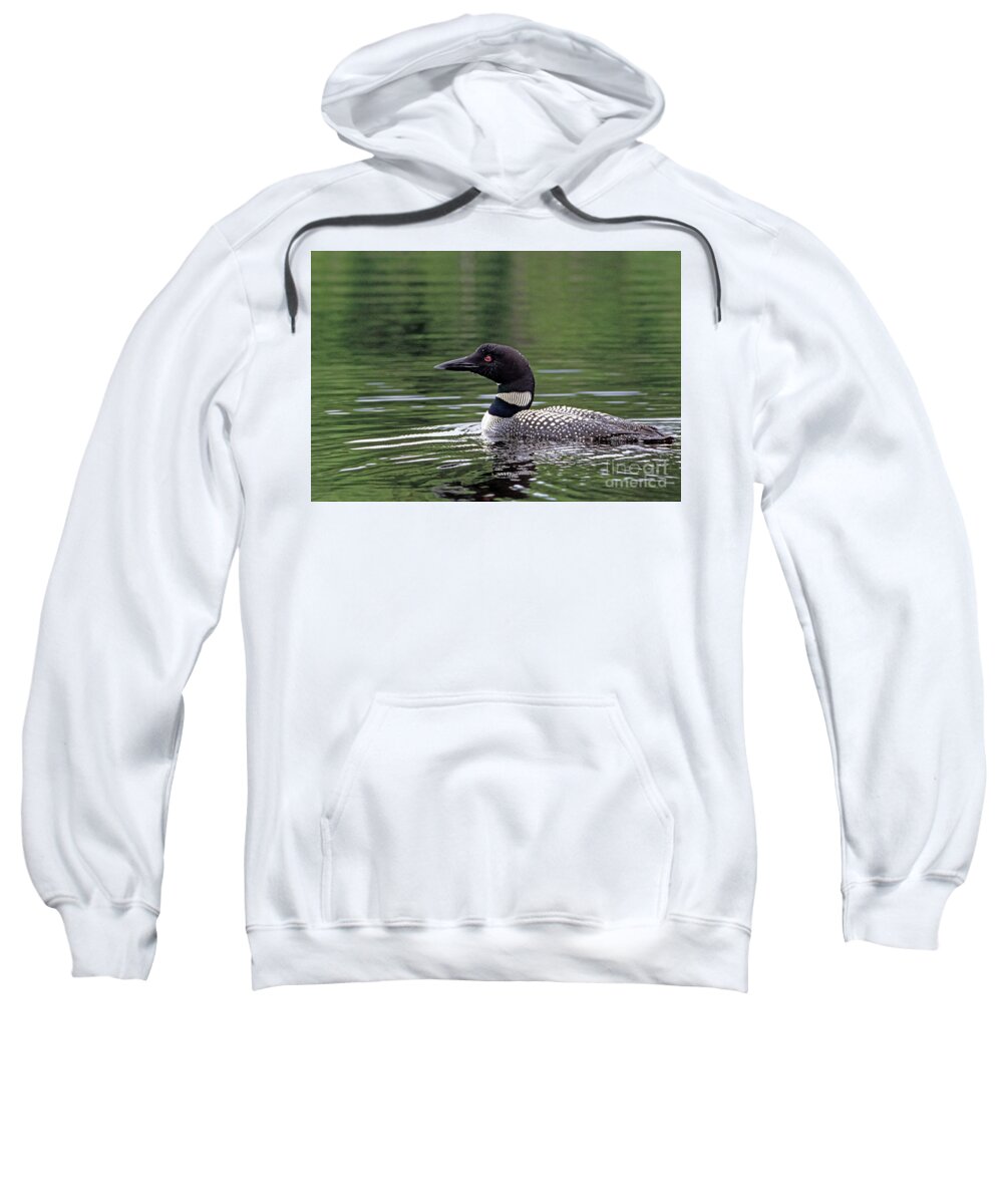 Common Loon Sweatshirt featuring the photograph Common Loon by Kevin Shields