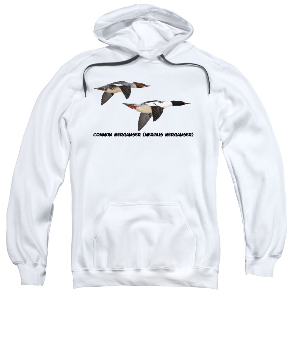 Common Mergansers Sweatshirt featuring the photograph Common Mergansers Isolated 2014-1 by Thomas Young