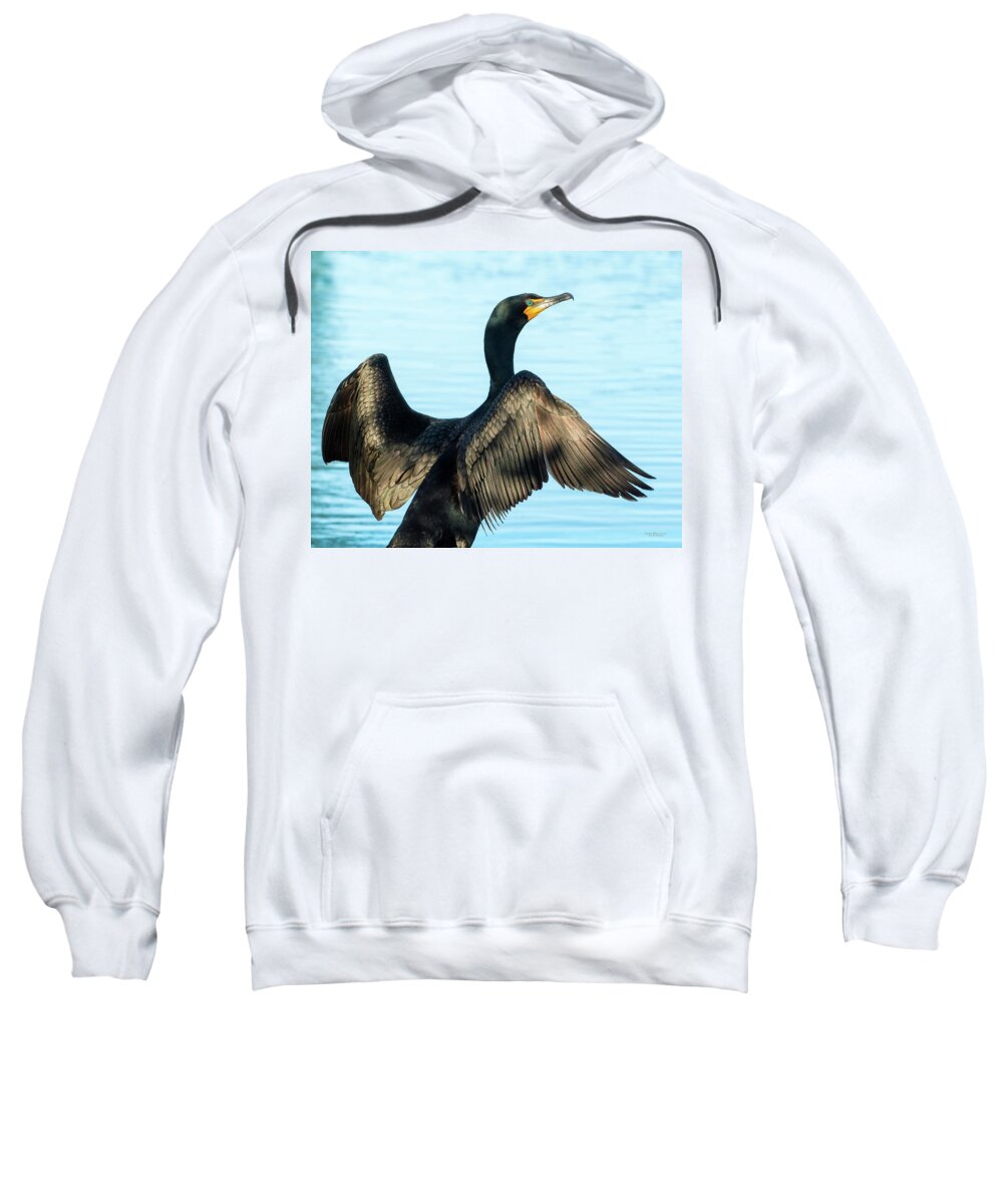 Cormorants Sweatshirt featuring the photograph Cormorant Wings by Judi Dressler