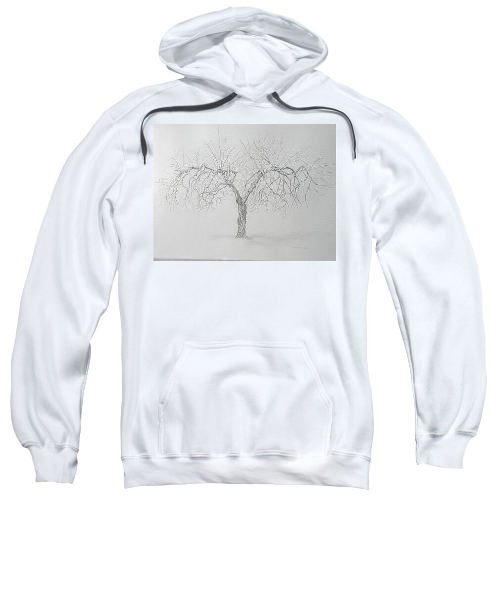 Cortland Apple Tree Sweatshirt featuring the drawing Cortland Apple by Leah Tomaino