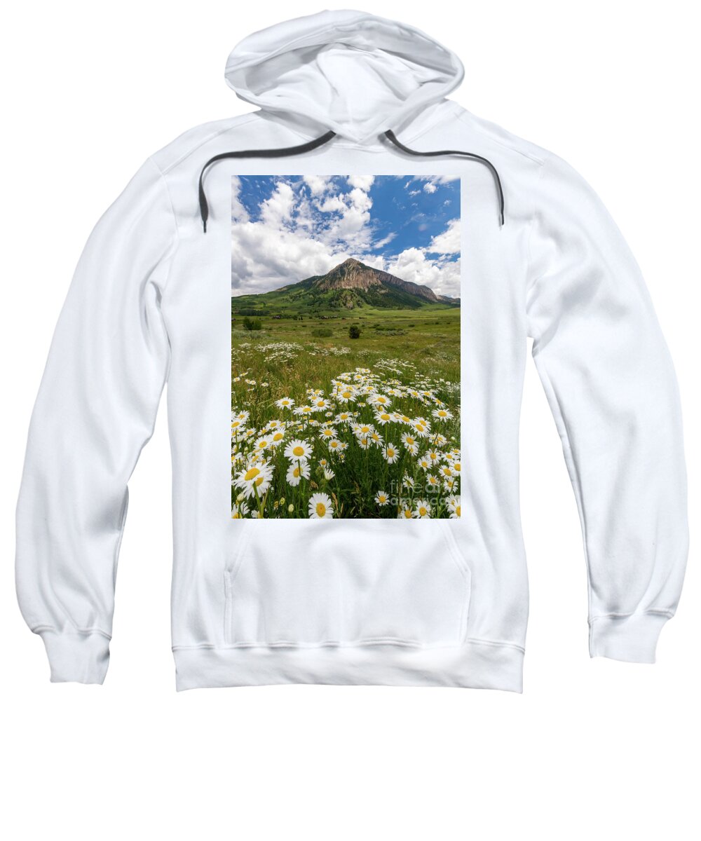 Crested Butte Sweatshirt featuring the photograph Crested Butte Wildflowers by Ronda Kimbrow