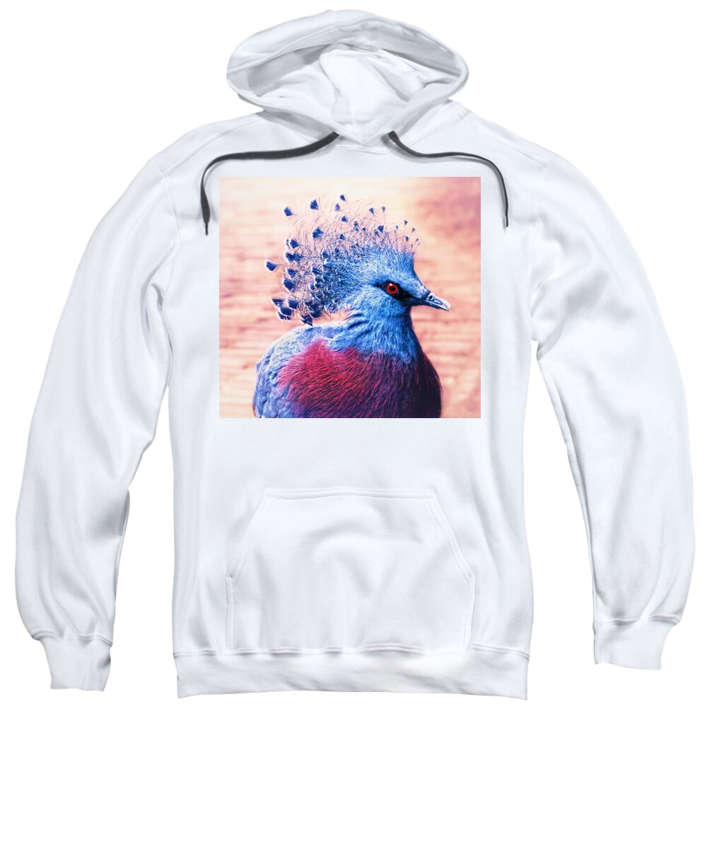 Bird Sweatshirt featuring the photograph Crowned pigeon by Jaroslav Buna