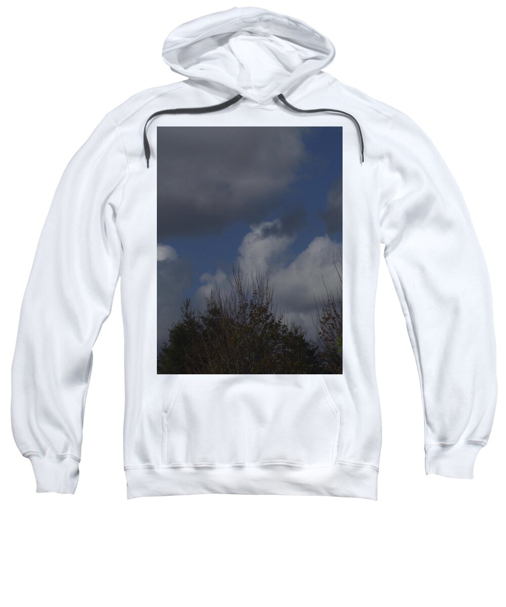  Sweatshirt featuring the photograph Cumulus 13 and Trees by Richard Thomas