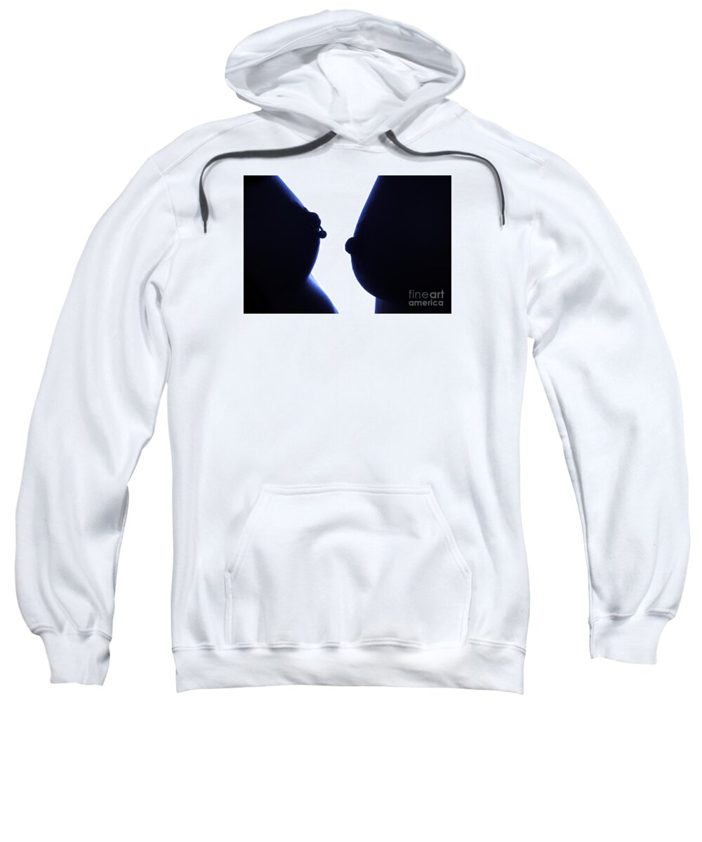 Artistic Photographs Sweatshirt featuring the photograph Double trouble by Robert WK Clark