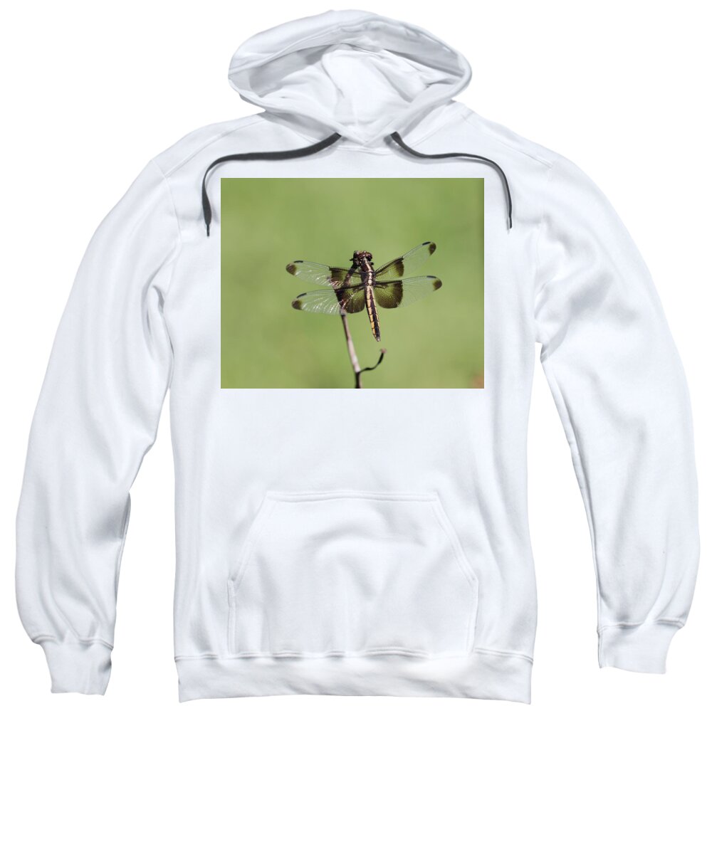Dragonfly. Dragon Fly Sweatshirt featuring the photograph Dragonfly by John Moyer