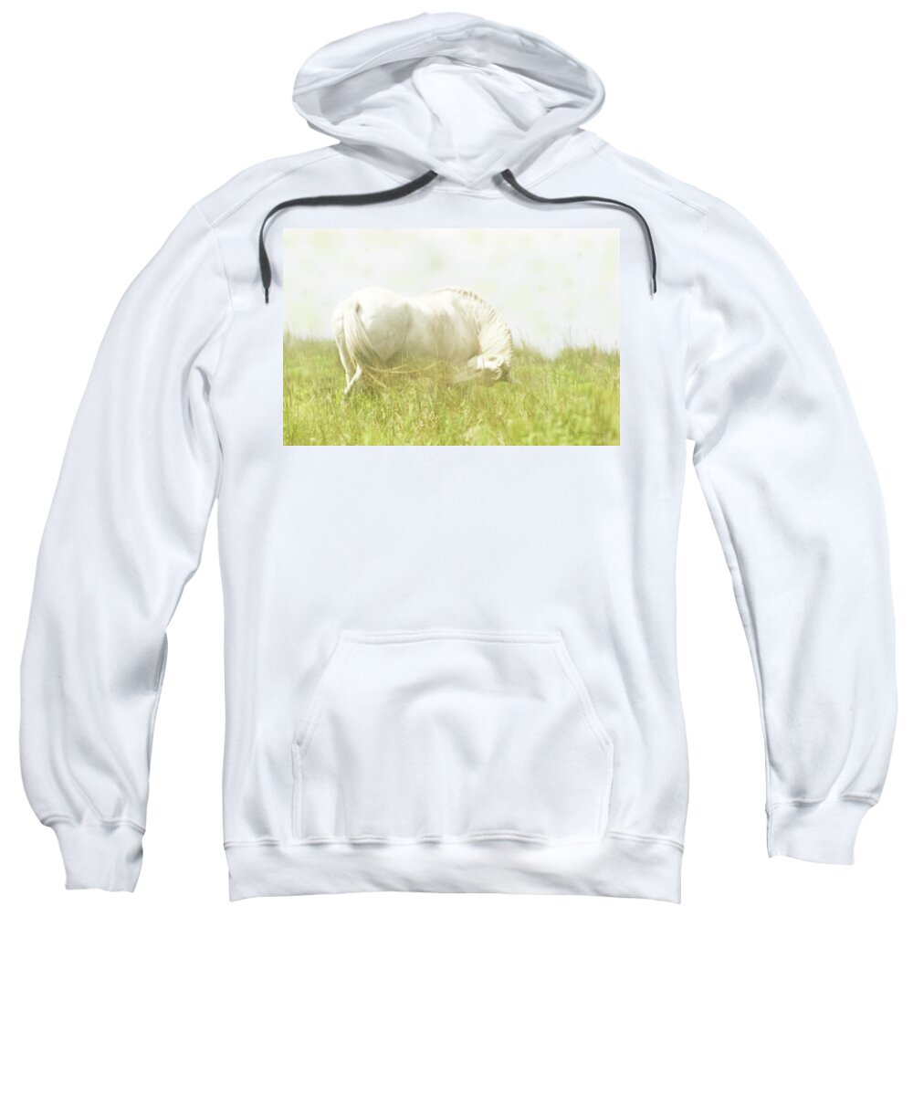 Dream Horse Sweatshirt featuring the photograph Dream Horse by Susan Vineyard
