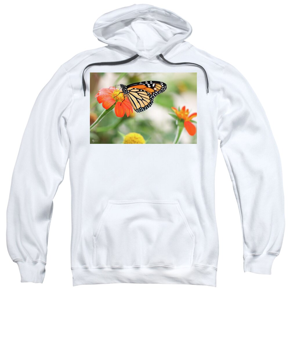Butterfly Sweatshirt featuring the photograph End of Summer Flight by Mary Anne Delgado