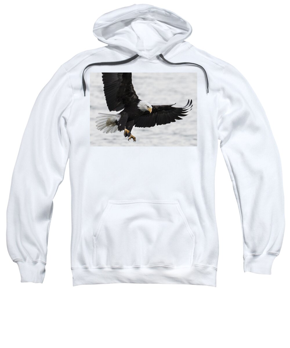Bald Eagle Sweatshirt featuring the photograph Final Approach by Randy Hall