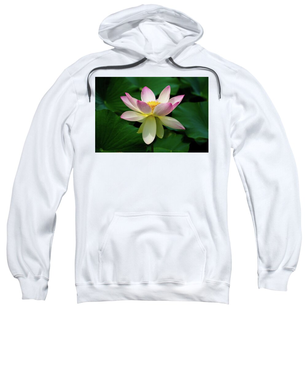 Bloom Sweatshirt featuring the photograph Finishing Strong by Dennis Dame