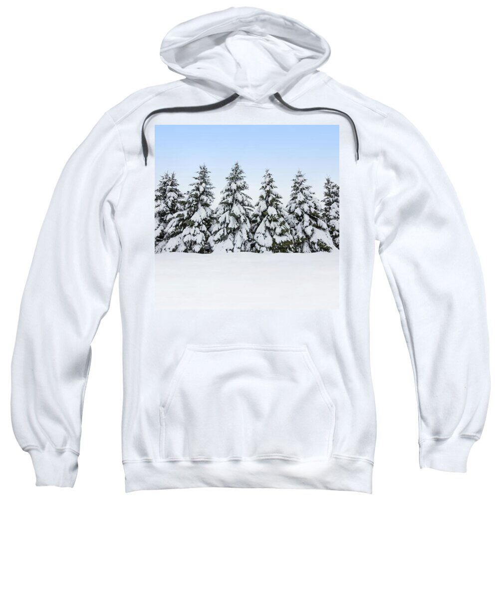 Winter Sweatshirt featuring the photograph Fir trees covered by snow, winter beauty by GoodMood Art